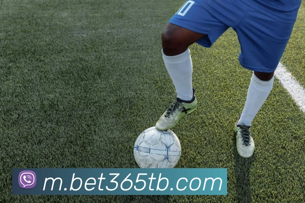 bet365中国官网服务体系